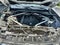 2021 BMW X5 sDrive40i Sport Utility 4D